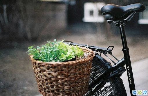 2018點(diǎn)贊最多的說(shuō)說(shuō)加圖片：速熱的人也速凍，熱鬧的人易散場(chǎng)14