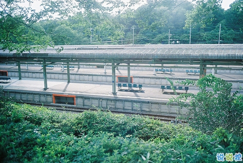 那些和青春夏天有關(guān)的唯美簡單小清新圖片句子 陽光傾落風(fēng)雨都不舍3