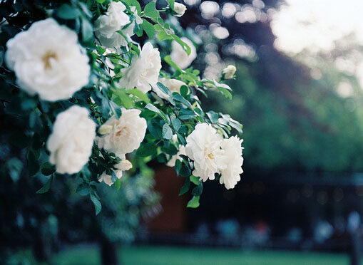甜蜜的少女心愛(ài)情小情話說(shuō)說(shuō)帶圖片 我喜歡走在你的身后這樣你就成了我的方向2