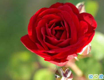 2019三月再見四月你好傷感說說 以后不會挽留不再將就2