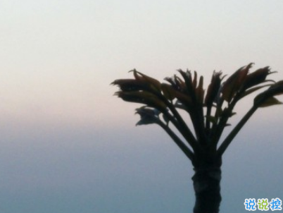 秀恩愛的優(yōu)雅句子簡單好聽配圖 我的心為你跳動(dòng)15