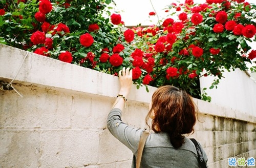 2019再見一月你好二月微信說說大全 最新勵志說說散發(fā)正能量1