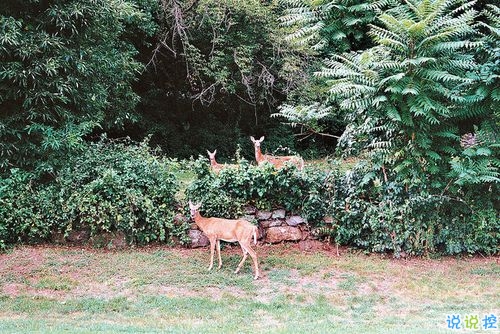 男生霸氣說說帶圖片致自己 微信霸氣說說男生干練灑脫9