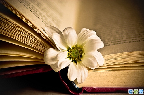 非常傷感和心酸的愛情說說 讓人心碎的說說句句入骨1