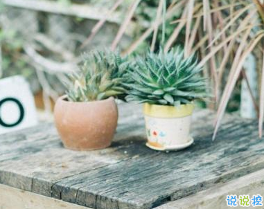 描寫春天的唯美句子帶圖片 2019適合春天的微信說說句子11