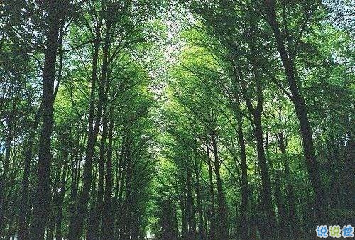 很經(jīng)典的英文說說帶翻譯有配圖 英文心情說說大全11