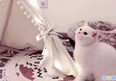 2018最近流行的個(gè)性說(shuō)說(shuō)簡(jiǎn)短 哥哥我能踩在你的aj上親你嗎1