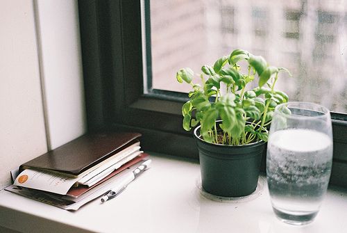 關(guān)于青春和成長的適合文藝女生發(fā)說說的句子帶圖片9