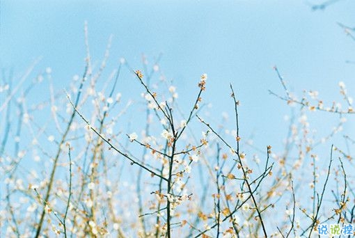 女生霸氣說說很犀利毒舌 一句話朋友圈霸氣說說2