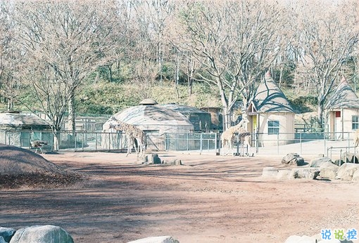 2019最新經(jīng)典說說給人希望 激勵(lì)人心的經(jīng)典說說帶圖片2