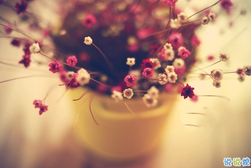 為明天而努力的勵志說說致自己 有關(guān)于積極奮斗的勵志說說共勉3