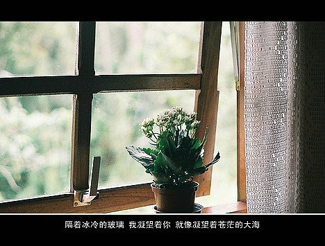 超傷感難過悲傷的愛情說說 你是我枯水年紀(jì)里的一場雨12