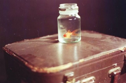 唯美文藝說說帶圖片 想做一個長長的夢回到十九歲那年14