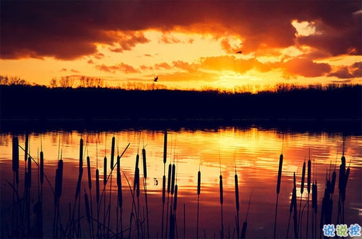 晚安說說勵志好心情一句大全帶圖片 簡單一句晚安心語勵志配圖12