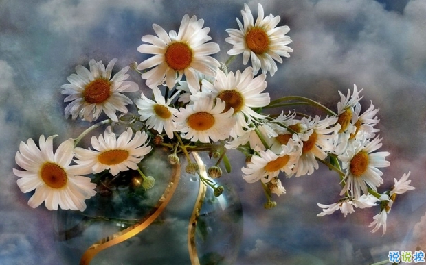 2019婦女節(jié)朋友圈說說大全配圖 溫馨浪漫的38婦女節(jié)說說帶圖片4