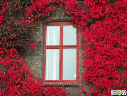 絕望心死在崩潰邊緣的說說 一個人心累人也累的說說大全2