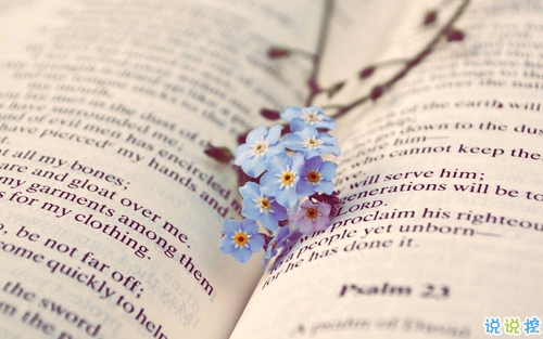 2019最真摯走心的愛情說說 讓人感動淚目的情話合集2