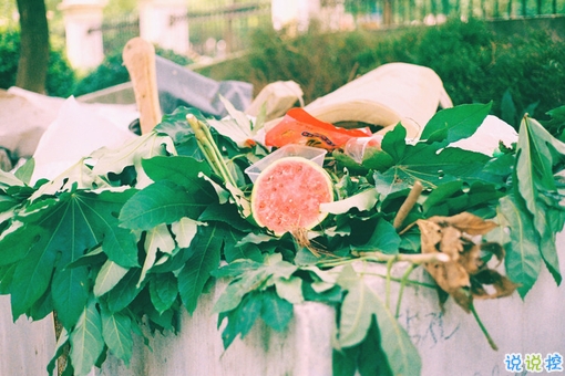 很經(jīng)典精辟的蔡康永經(jīng)典語錄 簡單一句話中蘊(yùn)含著大智慧的句子1