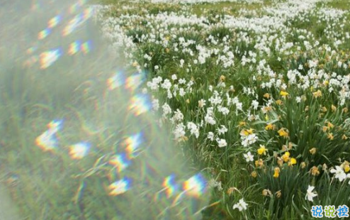 16條適合發(fā)朋友圈的旅行句子配圖 旅行句子表達心情短語最新版5