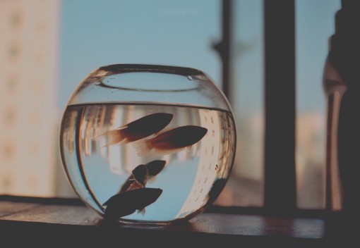 那些愛而不得的心酸和傷感圖片句子 似曾已看過極光海洋和彩虹9