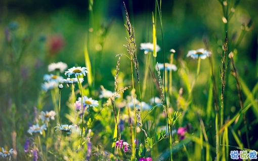 朋友圈個(gè)性說(shuō)說(shuō)簡(jiǎn)單一句話 趁著年輕把能干的壞事干了吧1