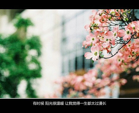 超傷感難過悲傷的愛情說說 你是我枯水年紀(jì)里的一場雨3