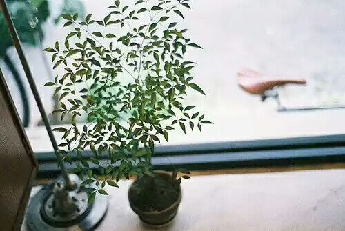 讓人難過(guò)傷感愛情說(shuō)說(shuō)帶圖片 差一點(diǎn)就抱住他了我再睡一會(huì)兒試試8