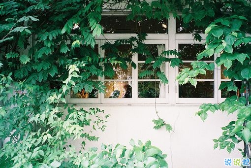 一個(gè)人獨(dú)處時(shí)候的孤獨(dú)是什么感覺(jué)呢？6