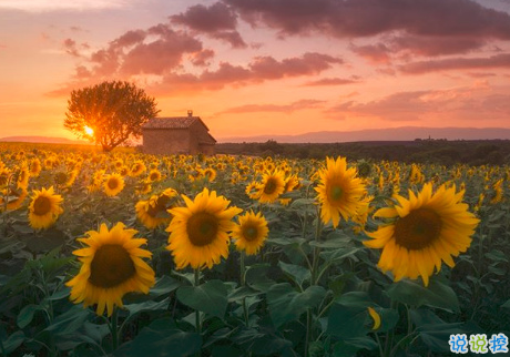 很扎心但很有道理的勵(lì)志說(shuō)說(shuō)帶圖片 激勵(lì)人心的很現(xiàn)實(shí)的一句話(huà)說(shuō)說(shuō)5