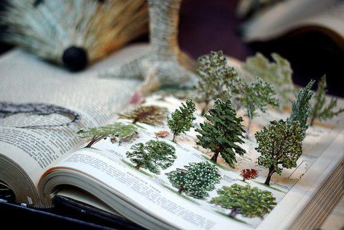 關(guān)于讀書閱讀的哲理精辟有道理的說說帶圖片11