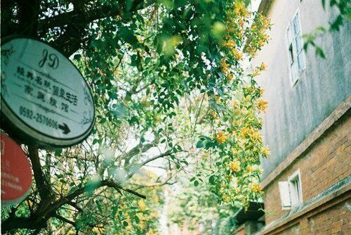 甜甜的適合戀愛中的男生女生發(fā)的說說帶圖片5