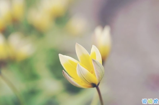 2019二月再見三月你好說說經(jīng)典勵志 三月你好微信早安句子2