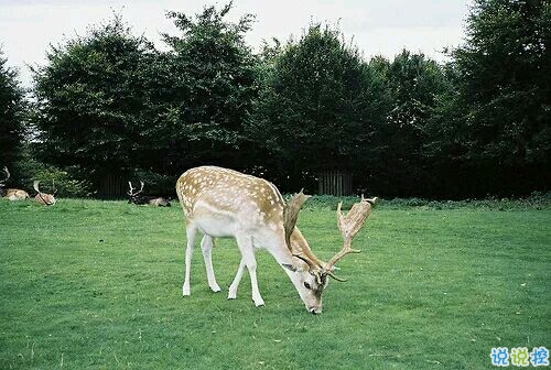 帶圖片的勵志說說人生感悟 別辜負(fù)了你的野心也別對不起你受的苦14