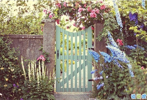 最新女生唯美說(shuō)說(shuō)帶圖片大全 有詩(shī)意很文藝的一些唯美句子11