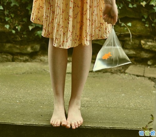 顧城詩一般的句子關(guān)于人生的經(jīng)典語錄 唯美文藝的句子顧城經(jīng)典語錄大全2