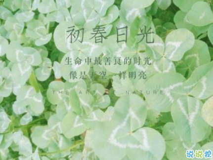 2019年第一天微信早安說(shuō)說(shuō) 豬年早安說(shuō)說(shuō)大全1