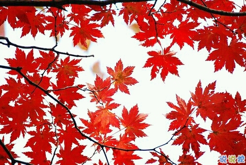 獨(dú)一無二男生霸氣說說2019精選 抖音最火男生超拽說說帶圖片12