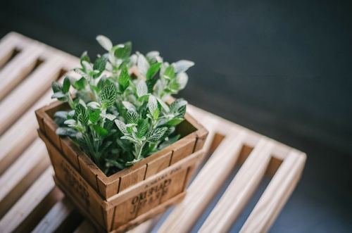 2019四月朋友圈小清新句子帶圖片 四月你好淡淡的陽光淡淡的風(fēng)9