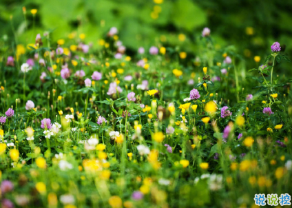 戀愛中很幸福的唯美情話2018精選 很享受愛情的唯美說說6