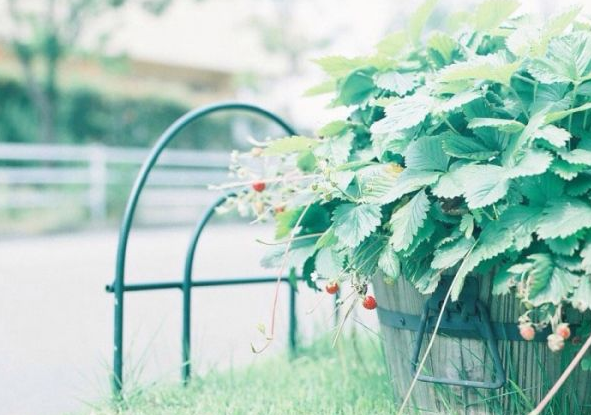 電影電視劇中會(huì)出現(xiàn)的唯美經(jīng)典的韓文說說15