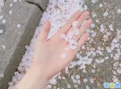 抖音上熱門說說大全 抖音最火個性說說絕對精辟2