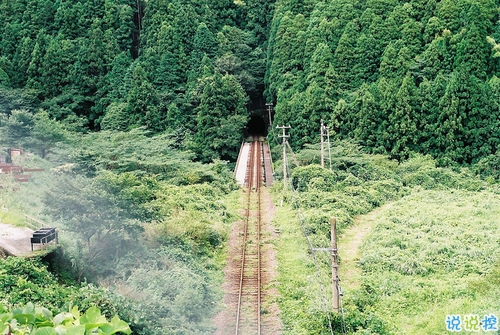 2019豬年過年的說說簡單心情 溫暖有趣的微信過年說說2