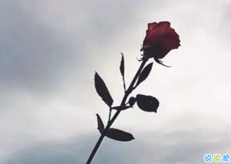 艾特自己的勵(lì)志說(shuō)說(shuō)2018最新版 適合艾特自己的說(shuō)說(shuō)很有道理2