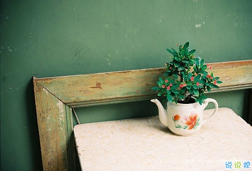 2019清明節(jié)祭奠親人的說說短句 祈禱天堂的親人們幸?？鞓?