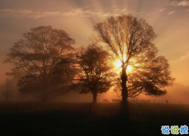 今天心情很好的微信說(shuō)說(shuō) 心情好發(fā)朋友圈的說(shuō)說(shuō)大全1