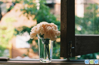 早安說(shuō)說(shuō)唯美陽(yáng)光帶圖片 早安問(wèn)候語(yǔ)大全簡(jiǎn)短溫暖13