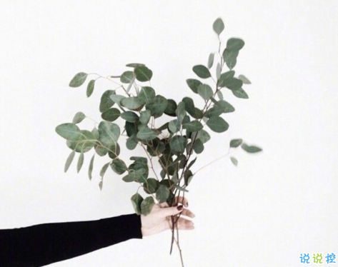 戳心又勵(lì)志的說說帶圖片精選 正能量說說給努力奮斗的自己11