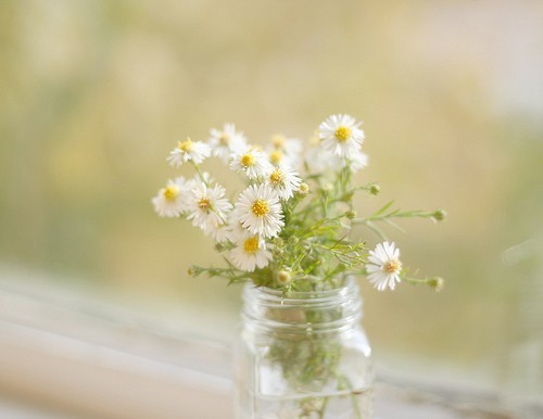 時間告訴我們的一些經(jīng)典哲理句子 正能量的句子經(jīng)典語句1