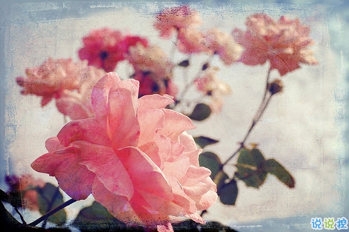 女生表白男生的話可愛簡(jiǎn)短 2019最美最動(dòng)聽的情話大全微微甜2