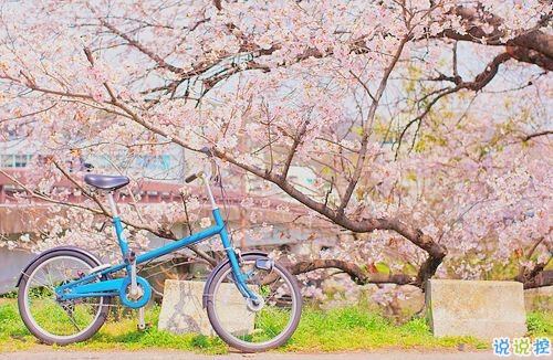 2019非主流經(jīng)典愛情說說帶圖片 很打動(dòng)人的一些愛情真理10